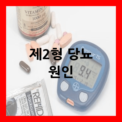 제2형 당뇨 원인 및 증상 그리고 관리법